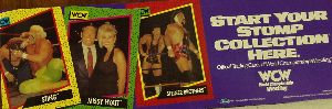 1991 Advertising Display Piece for World Championship Wrestling